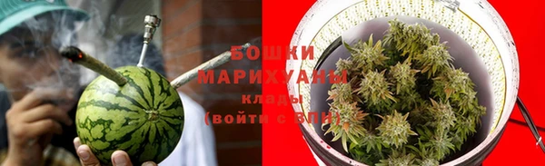 сатива Горнозаводск