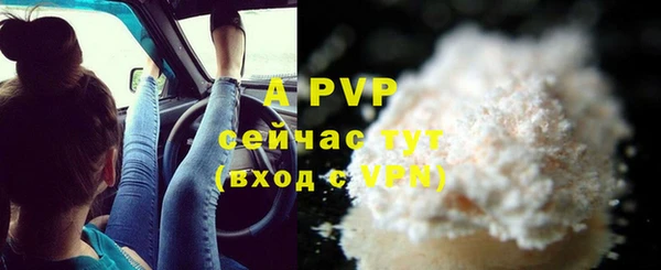 сатива Горнозаводск