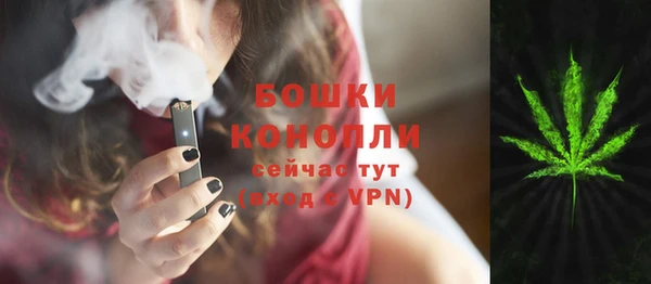 дживик Горняк