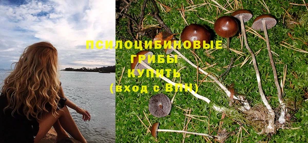 трава Няндома