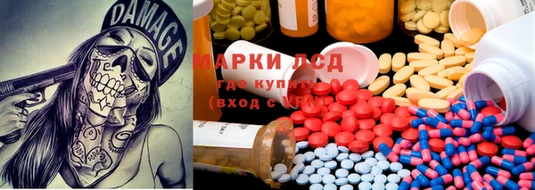 крисы Касимов