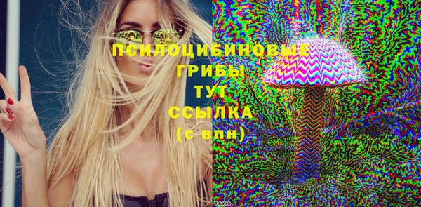 дживик Горняк