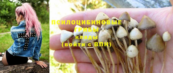 сатива Горнозаводск