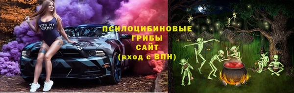 тгк Горно-Алтайск
