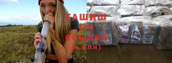 индика Карпинск